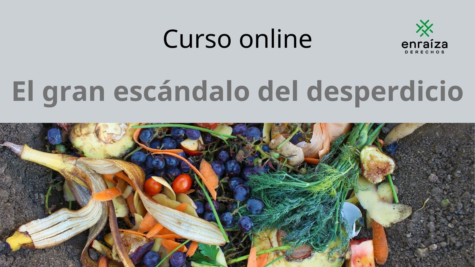 Curso Online: El Gran Escándalo Del Desperdicio Alimentario - Yo No ...