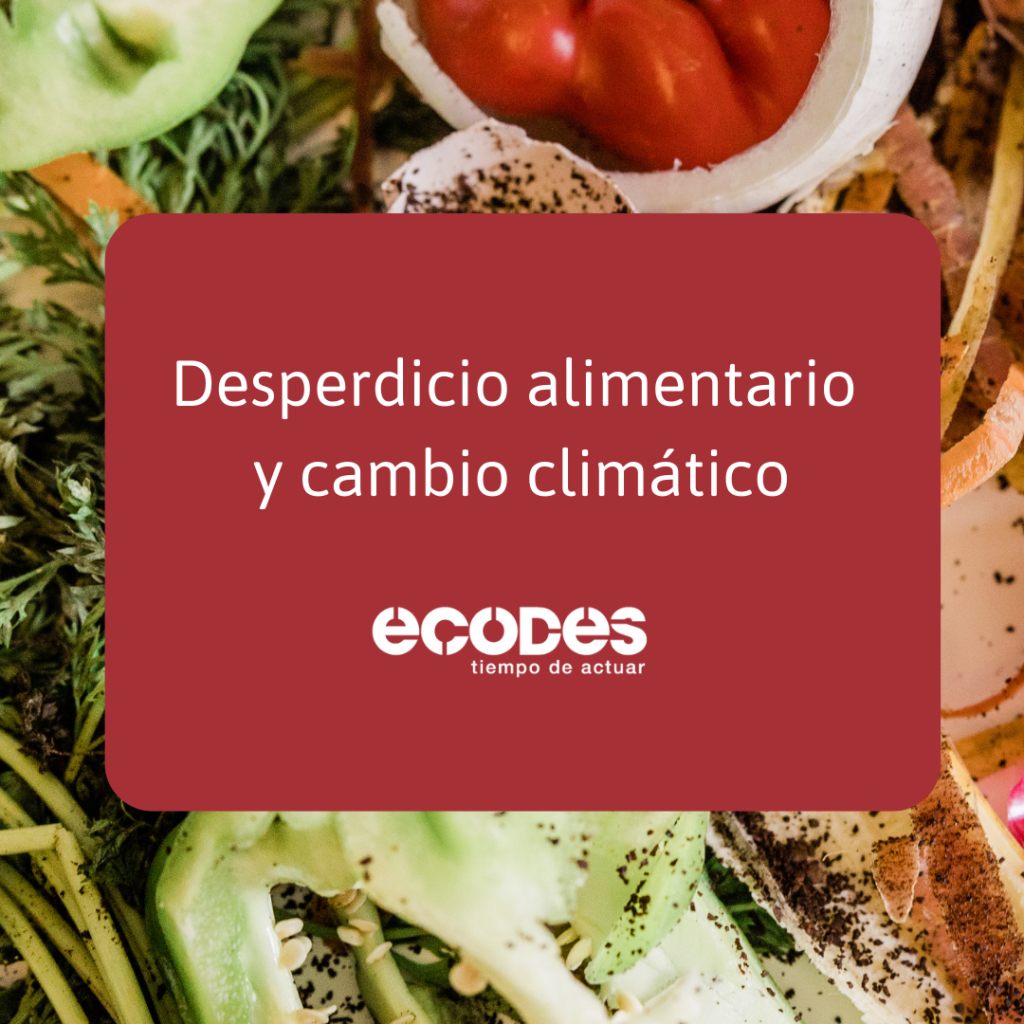 Desperdicio-cambioclimatico-ecodes